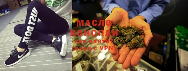 индика Надым