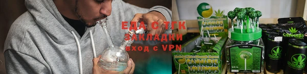 индика Надым