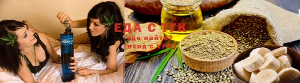 индика Надым